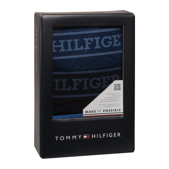 3PACK Boxershorts til mænd Tommy Hilfiger flerfarvet (UM0UM03413 0XW)