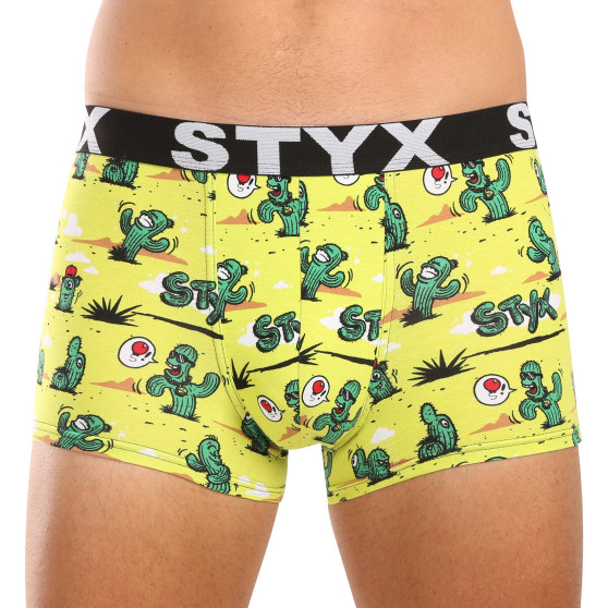 Styx Boksershorts til mænd kunst sport gummi kaktus (G1351)