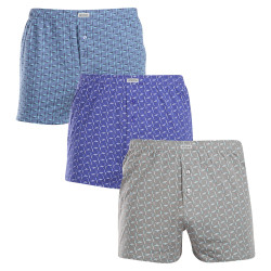 3PACK Boxershorts til mænd Andrie flerfarvet (PS 5820)