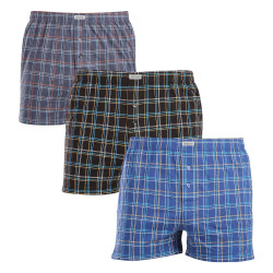 3PACK Boxershorts til mænd Andrie flerfarvet (PS 5821)