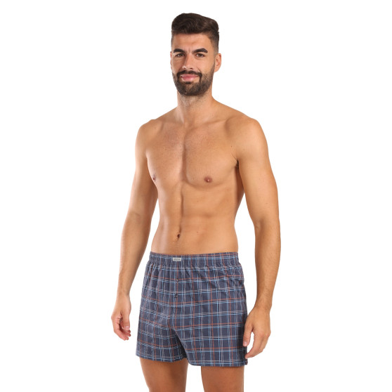 3PACK Boxershorts til mænd Andrie flerfarvet (PS 5821)