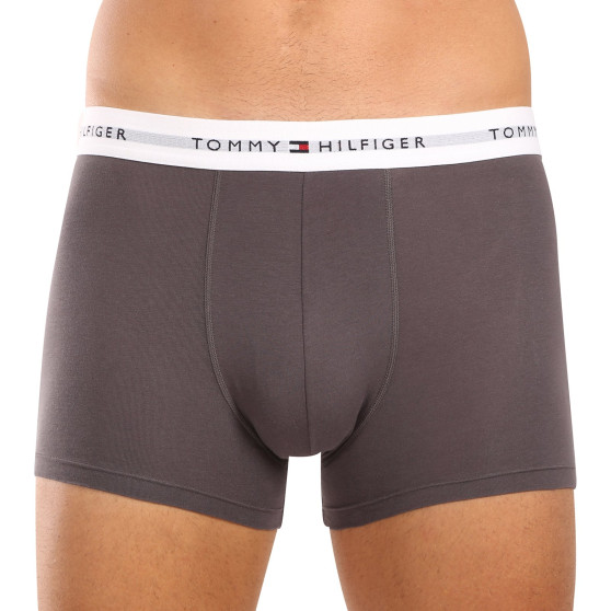 3PACK Boxershorts til mænd Tommy Hilfiger flerfarvet (UM0UM02761 0UI)