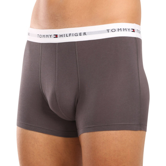 3PACK Boxershorts til mænd Tommy Hilfiger flerfarvet (UM0UM02761 0UI)