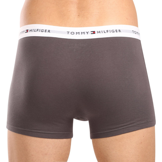 3PACK Boxershorts til mænd Tommy Hilfiger flerfarvet (UM0UM02761 0UI)