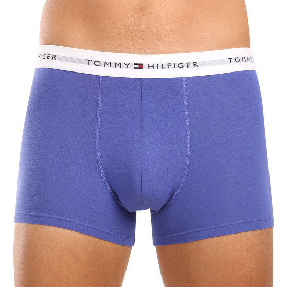 3PACK Boxershorts til mænd Tommy Hilfiger flerfarvet (UM0UM02761 0UI)