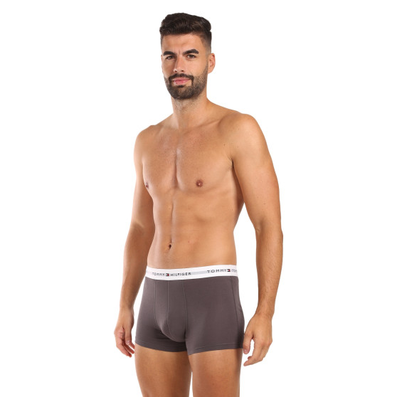 3PACK Boxershorts til mænd Tommy Hilfiger flerfarvet (UM0UM02761 0UI)