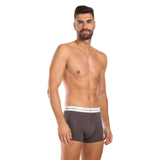 3PACK Boxershorts til mænd Tommy Hilfiger flerfarvet (UM0UM02761 0UI)