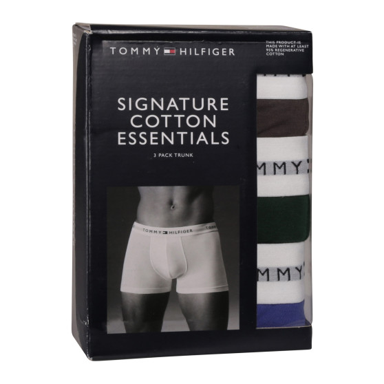 3PACK Boxershorts til mænd Tommy Hilfiger flerfarvet (UM0UM02761 0UI)