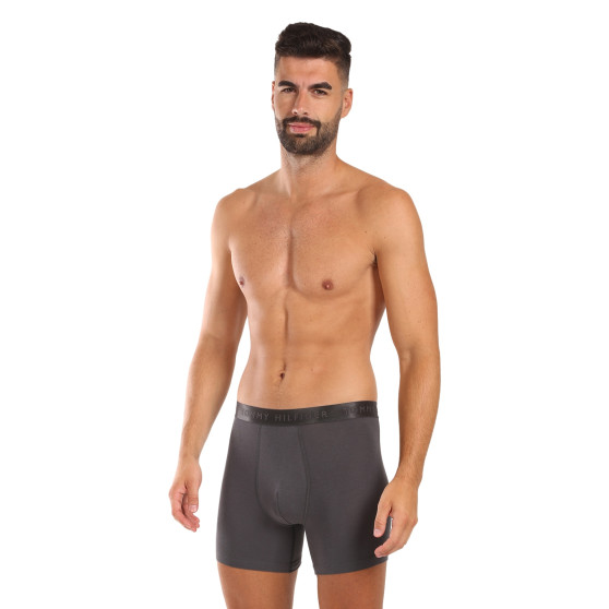 3PACK Boxershorts til mænd Tommy Hilfiger flerfarvet (UM0UM03393 0XX)