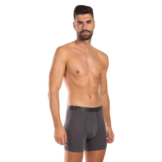 3PACK Boxershorts til mænd Tommy Hilfiger flerfarvet (UM0UM03393 0XX)