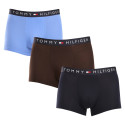 3PACK Boxershorts til mænd Tommy Hilfiger flerfarvet (UM0UM03180 0X0)