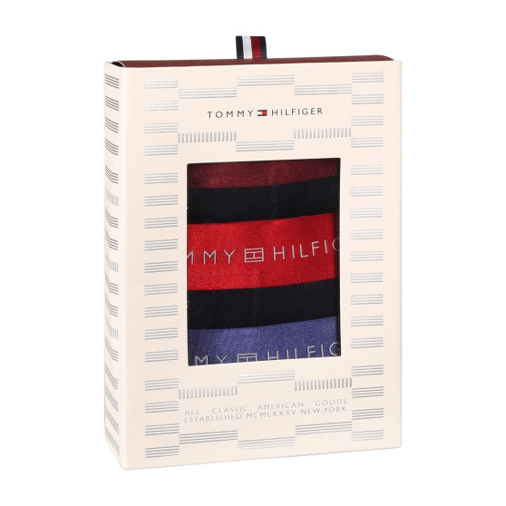 3PACK Boxershorts til mænd Tommy Hilfiger sort (UM0UM03411 0WP)