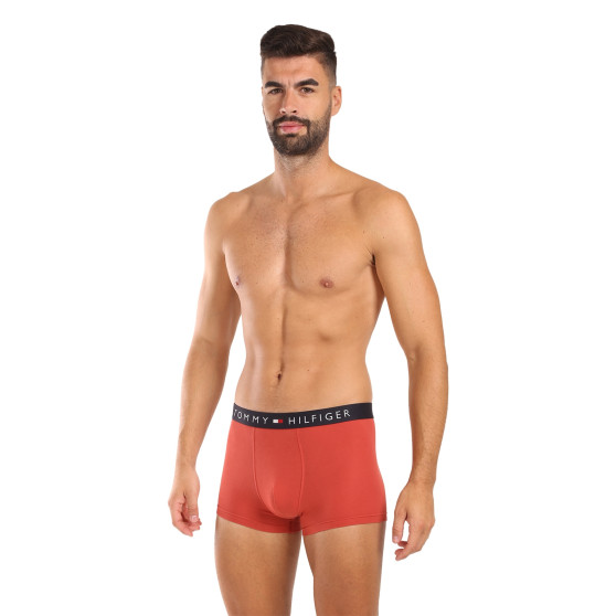 3PACK Boxershorts til mænd Tommy Hilfiger flerfarvet (UM0UM03180 0RW)